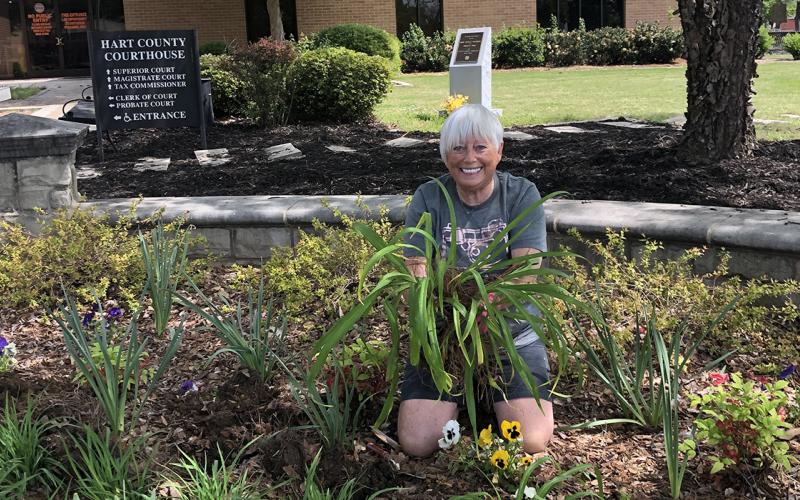 Hartwell resident Mary Lynn Johnson gardens outside the Hart County Courthouse, one of her many volunteer efforts.