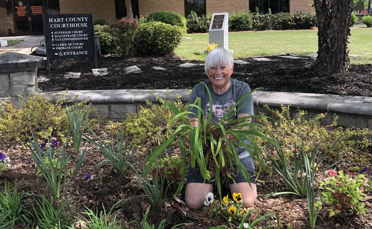 Hartwell resident Mary Lynn Johnson gardens outside the Hart County Courthouse, one of her many volunteer efforts.