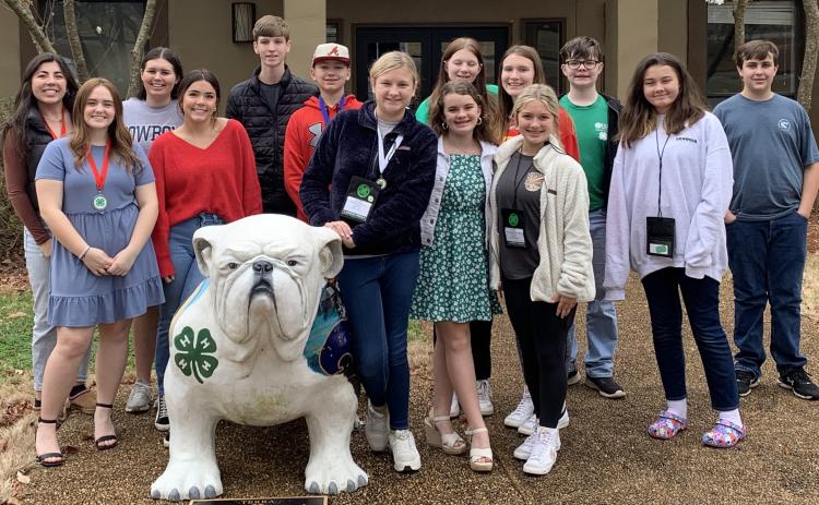 Jr/Sr DPA Group front row (from left to right): Katie Sanders, Landry Wheless, Lily Graham, Claire Hoy, Zoey Hill, and Ashleigh Jones. Back row (from left to right): Lexie Wheless, Emma Shiflet, Tyler Bowers, Case Cothran, Alexandria LeBar, Adrianna Pennington, Eli Alewine, and Lukas Smith.
